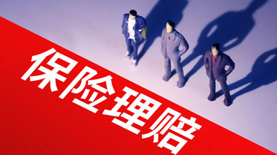 成功索赔案例一