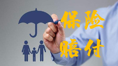 成功索赔案例二